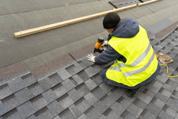 Roof Gutter Cleaning in The Meadows, FL