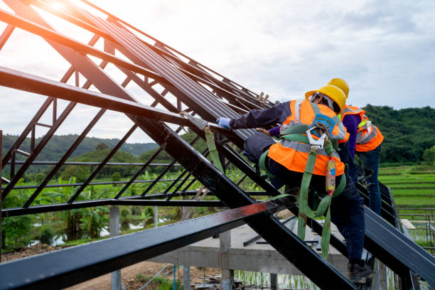 Best Roof Waterproofing Services  in The Meadows, FL