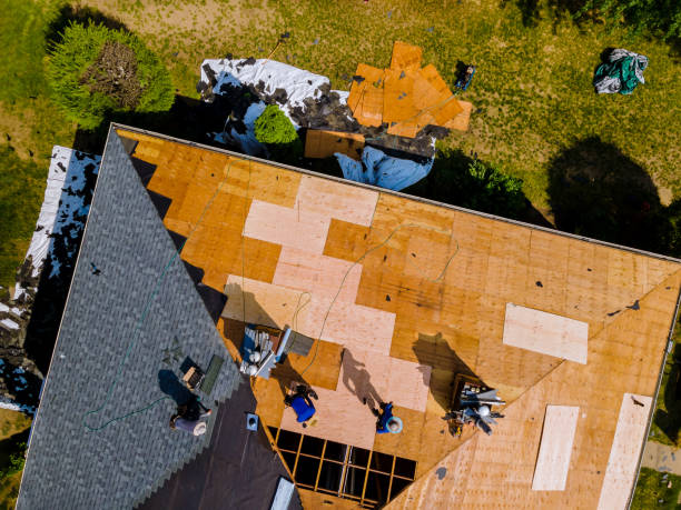 Best Roof Maintenance Services  in The Meadows, FL