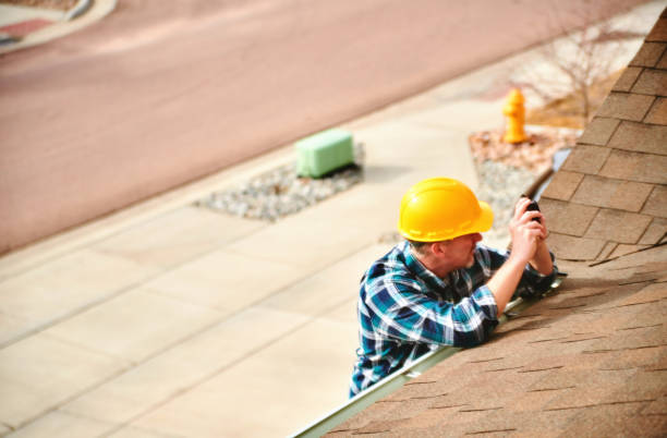 Best Roof Maintenance Services  in The Meadows, FL