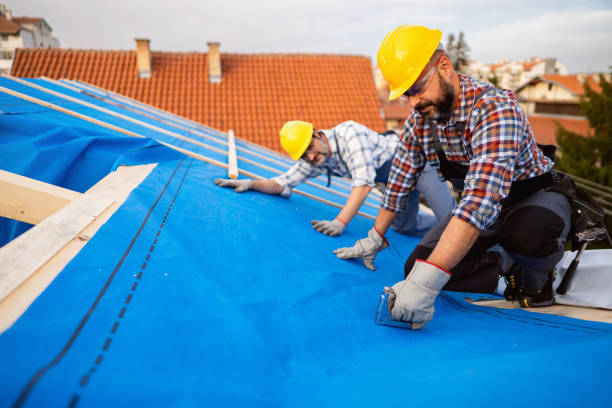Best Gutter Installation and Roofing  in The Meadows, FL