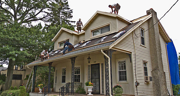 Best Metal Roofing Contractor  in The Meadows, FL