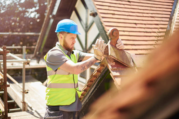 Best Storm Damage Roof Repair  in The Meadows, FL